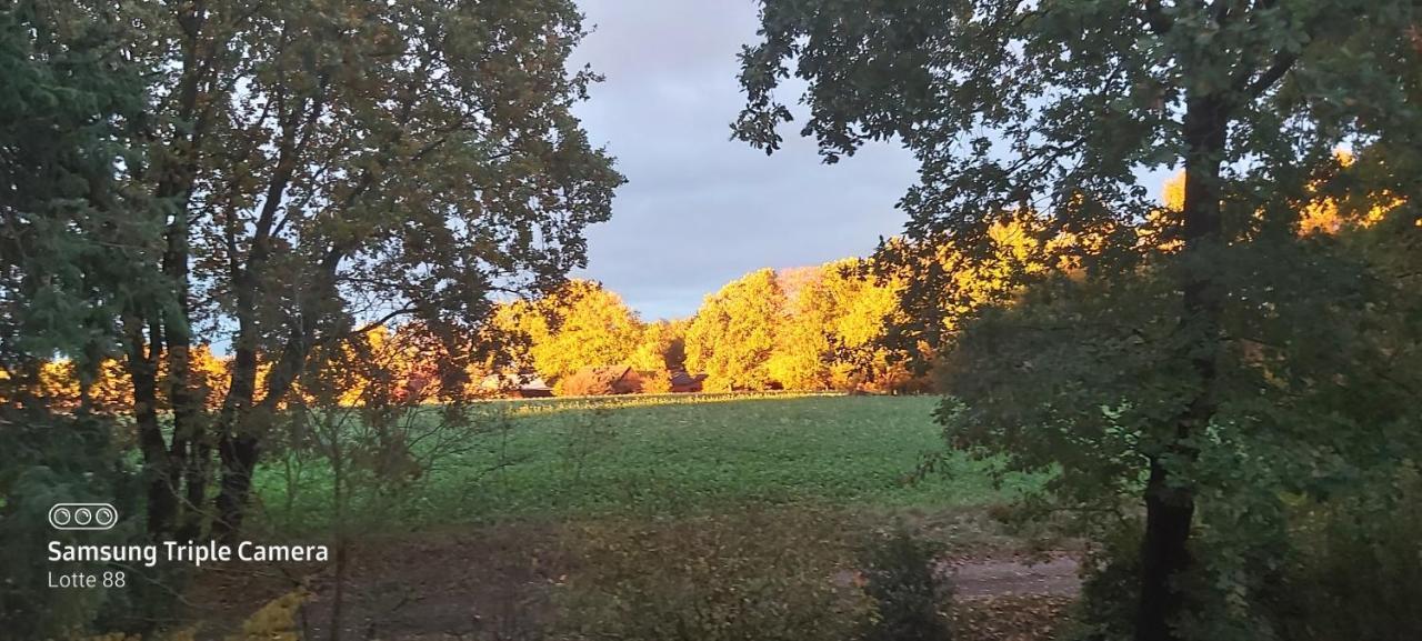 Gabis Ferienwohnung Bendingbostel Esterno foto
