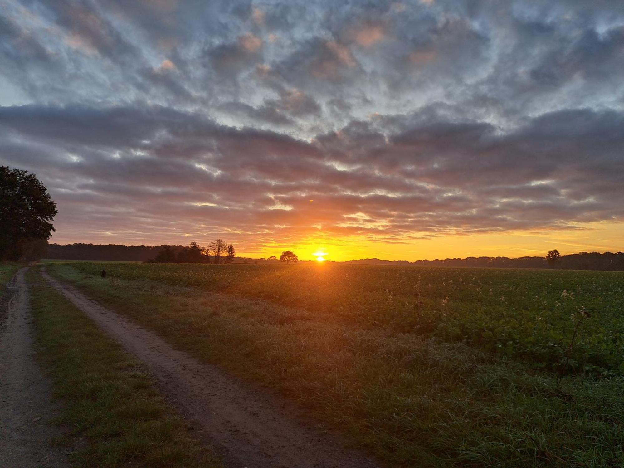 Gabis Ferienwohnung Bendingbostel Esterno foto