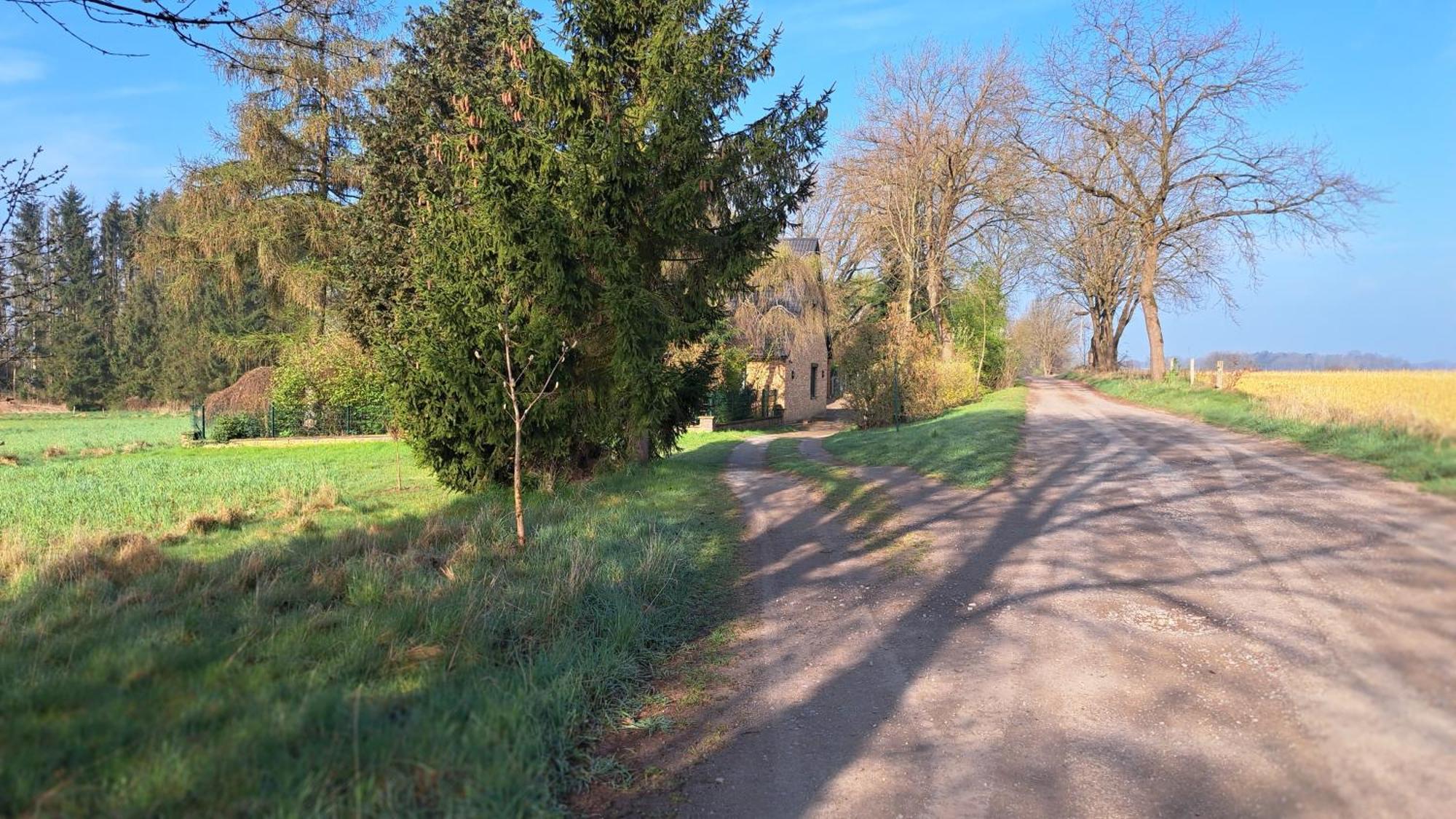 Gabis Ferienwohnung Bendingbostel Esterno foto